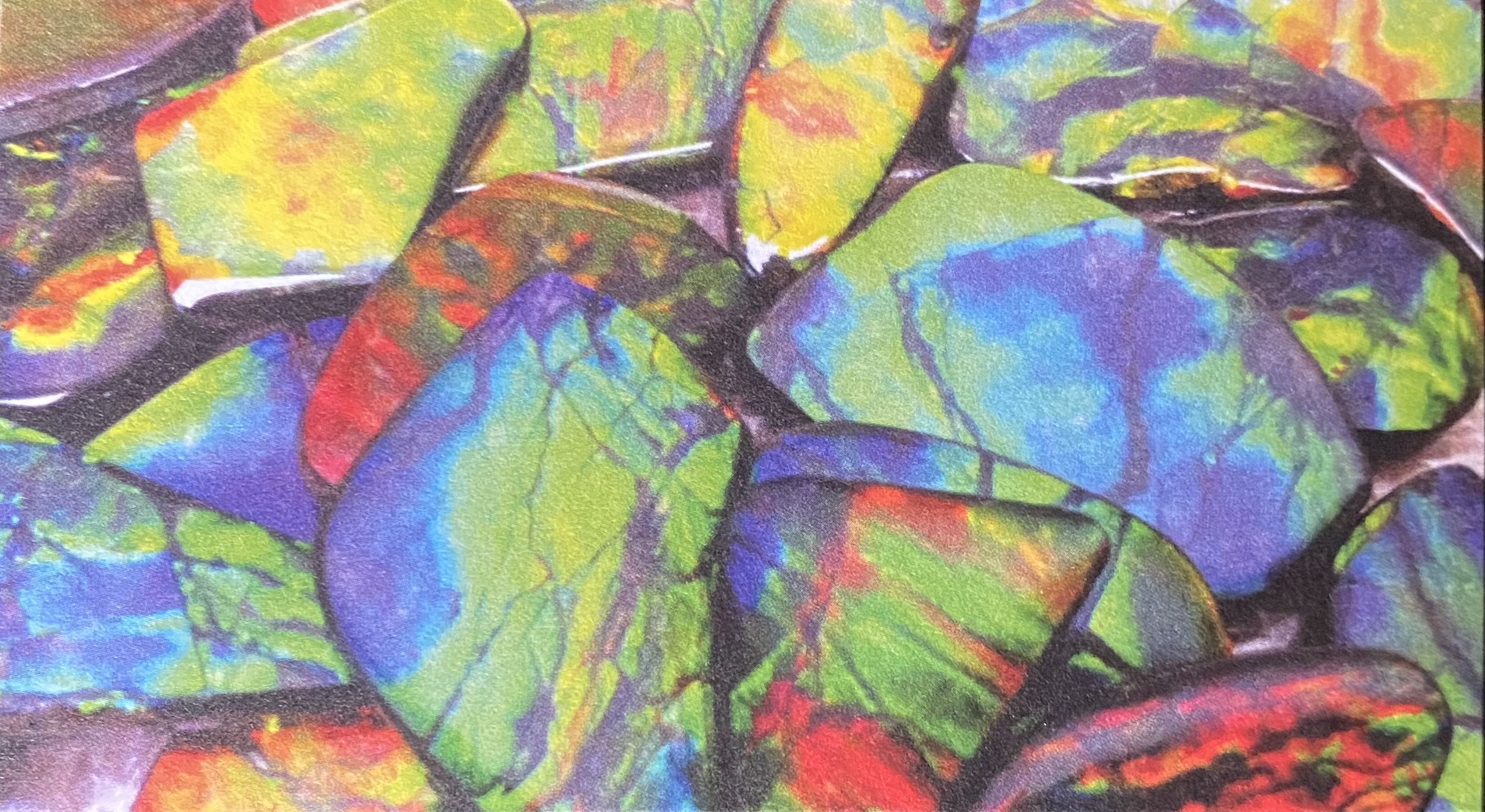 Retail & Consumer Goods